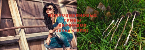 герыч Вяземский