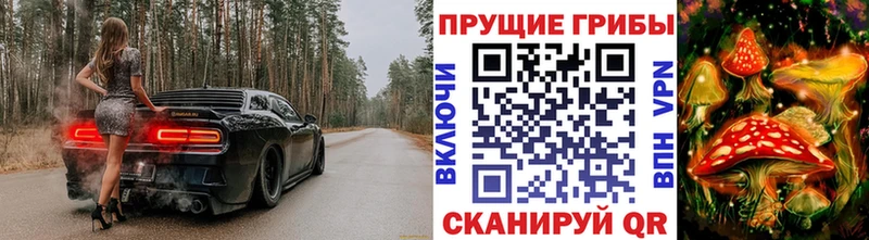 KRAKEN ССЫЛКА  дарнет шоп  Гвардейск  Галлюциногенные грибы мухоморы 