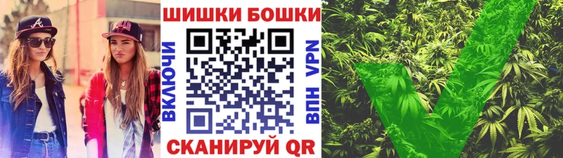 где купить   Гвардейск  Каннабис MAZAR 